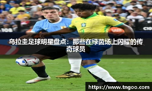 一竞技官网 - 从一开始·竞无止境